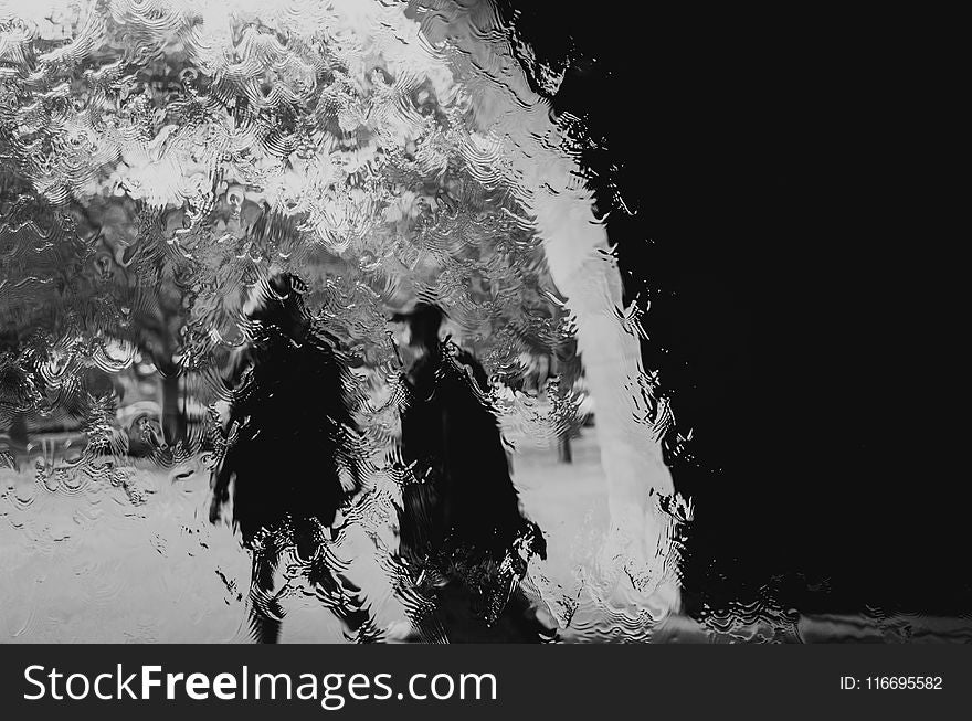 Grayscale Photography of Two Persons Walking Towards the Trees