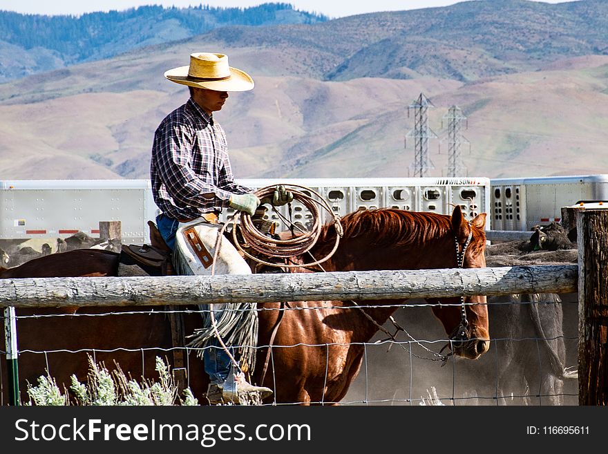 Photography of a Man Riding Horse
