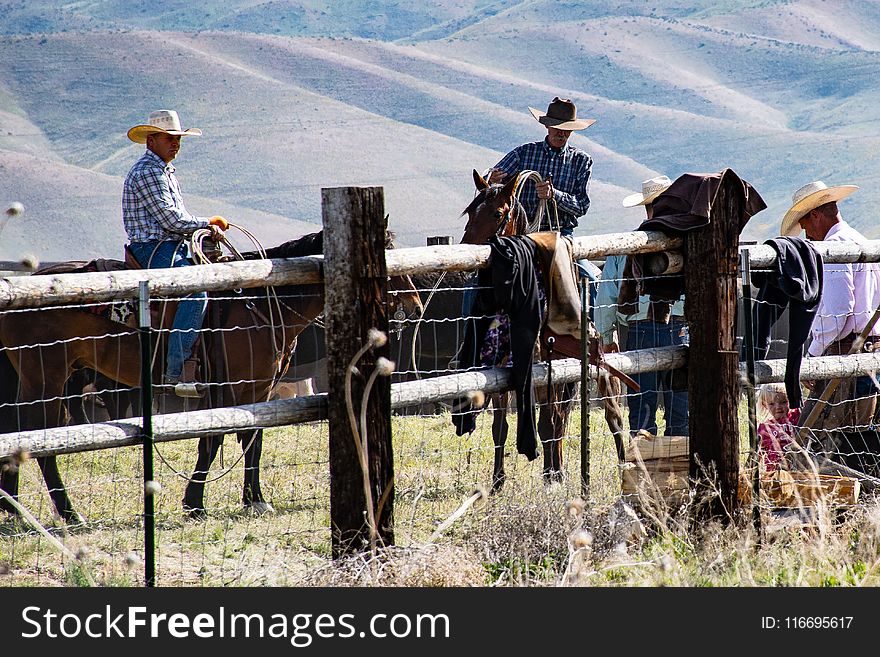 Photography of People Riding Horses