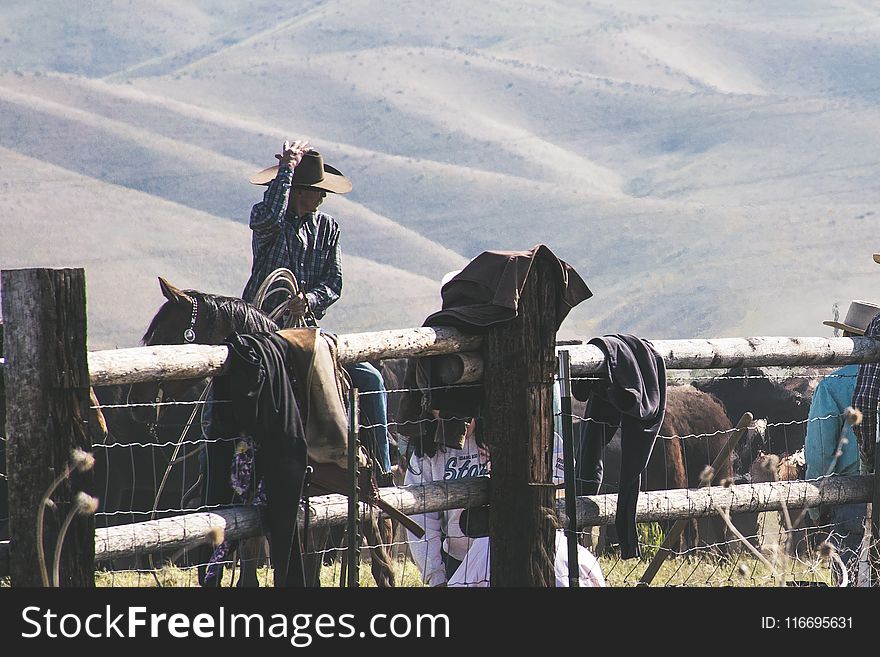 Close-up Photo Of Horseman