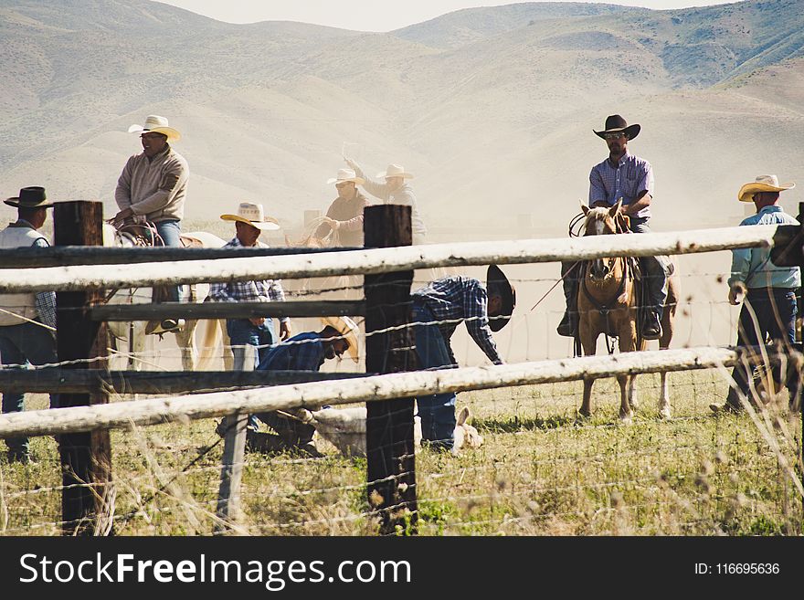 Cowboys Riding a Horse Near Gray Wooden Fence Taken during Dayitme