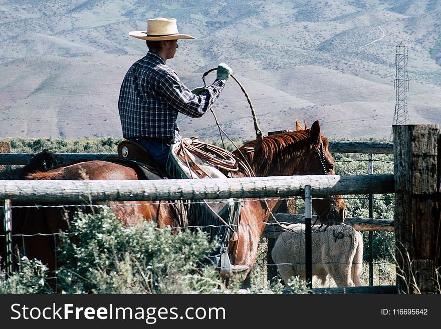 Photography of a Person Riding Horse