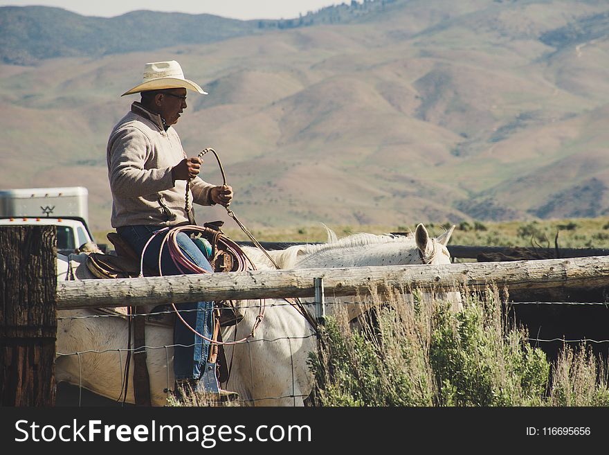 Photo Of Man Riding On White Horse