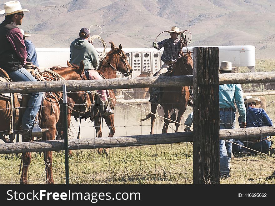 Three Men Riding Horses