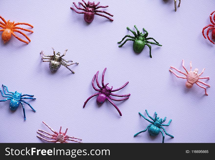 Assorted-color Spider Plastic Toy Collection