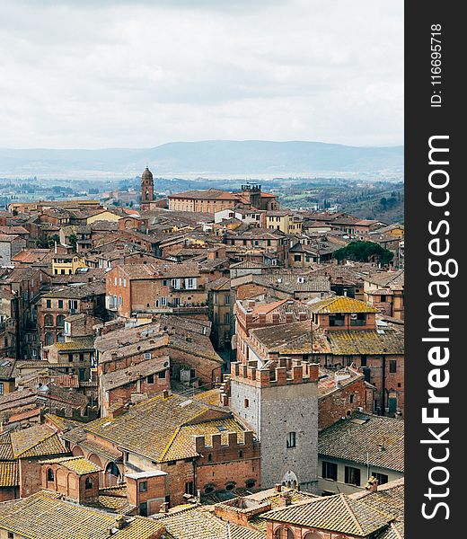 Photo of Brown and Gray Buildings