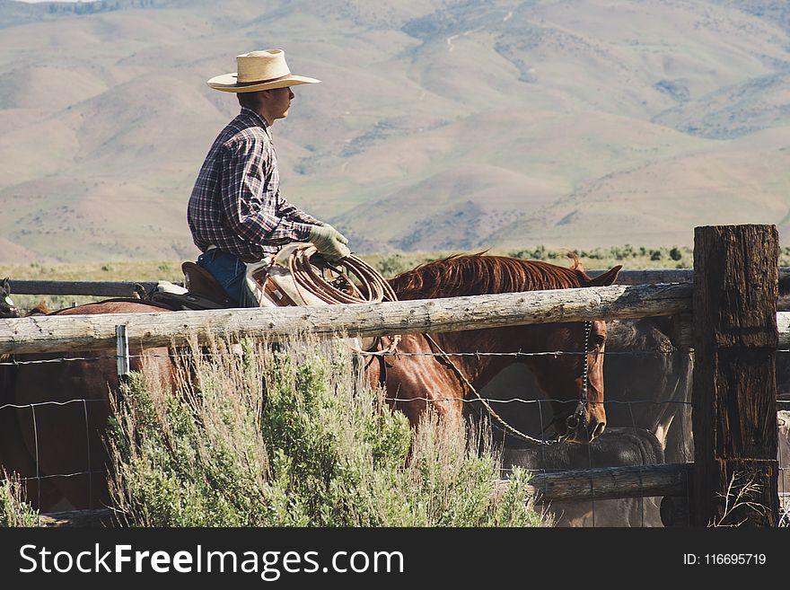 Photography Of A Man Riding Horse