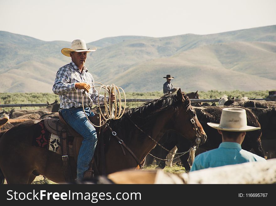 Photography of a Person Riding Horse