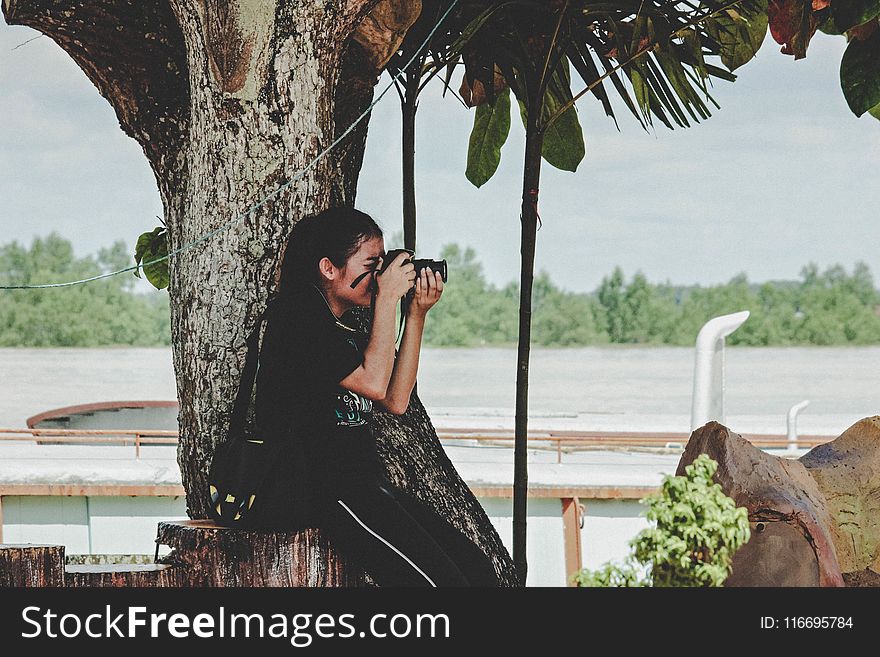 Woman Taking Photo Near To Tree