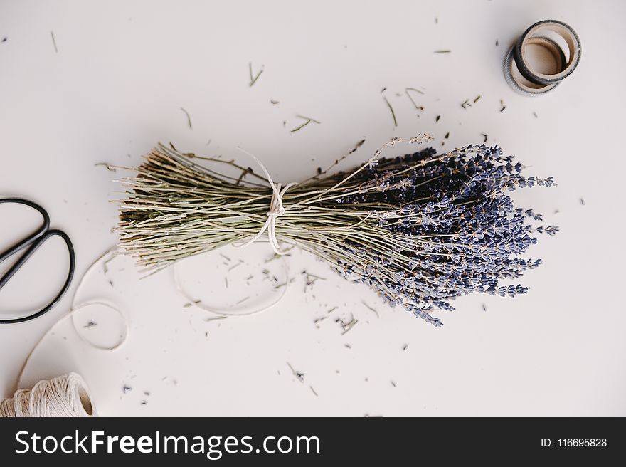 Lavender Flower Bouquet On White Surface