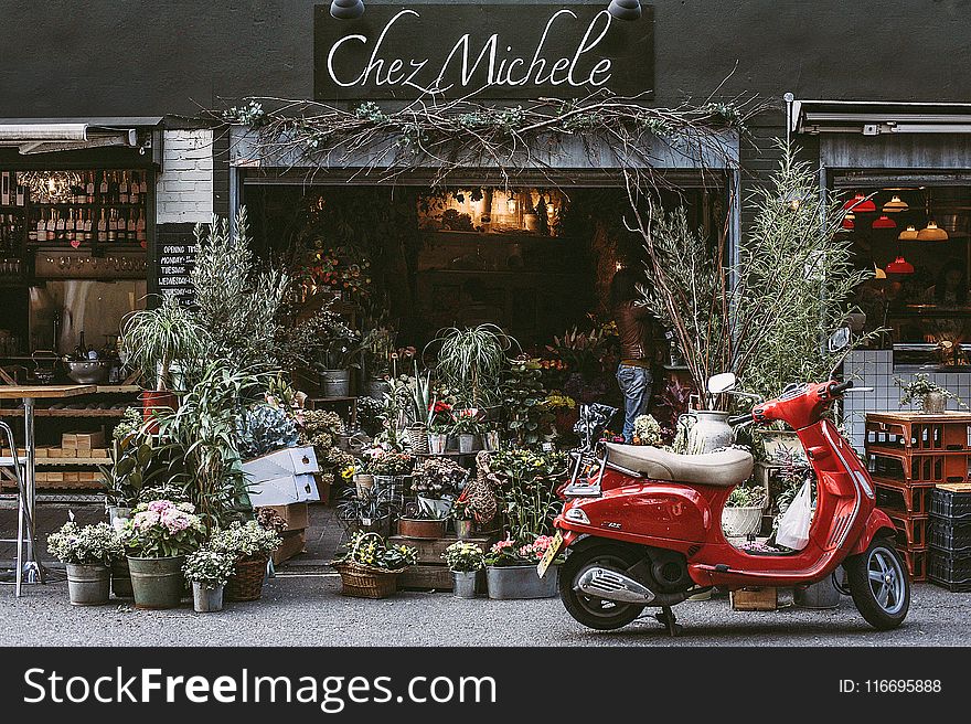 Red Motor Scooter Parking on Front of Chez Michele Store