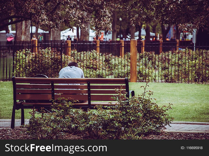 Photo Of Person Sitting On Brown Bench