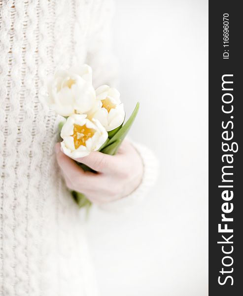 Person Holding White Petal Flowers