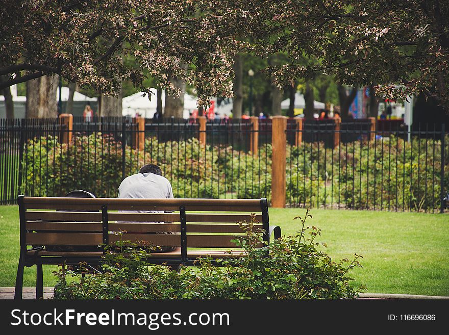 Person Sitting On Brown Wooden Bench