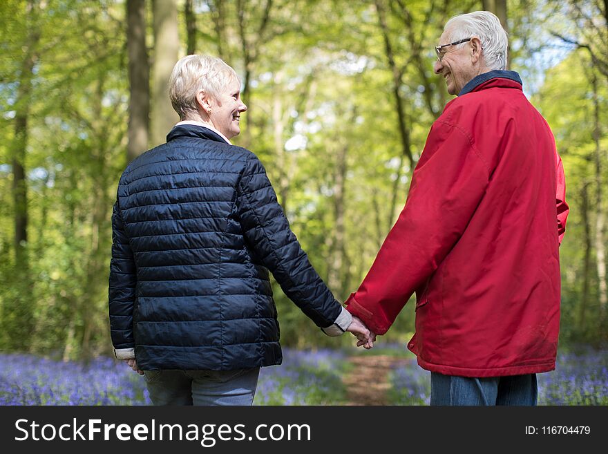 Rear View Of Senior Couple Walking Hand In Hand In Bluebell Wood. Rear View Of Senior Couple Walking Hand In Hand In Bluebell Wood
