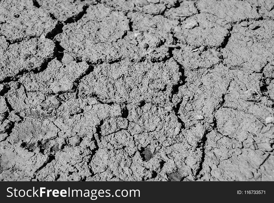 Black And White, Soil, Monochrome Photography, Drought