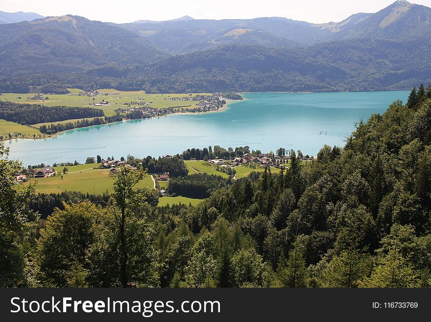 Nature, Lake, Wilderness, Nature Reserve