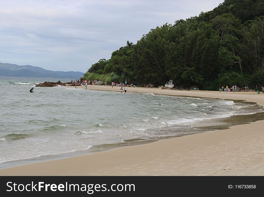 Beach, Coast, Sea, Coastal And Oceanic Landforms