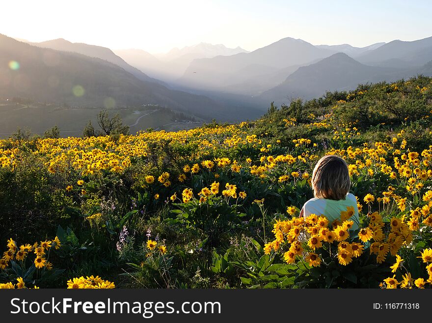 Carefree Woman Lying On Meadow With Sun Flowers Enjoying Sunrise Over Mountains And Relaxing.