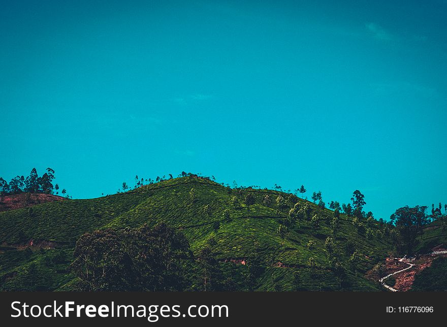 Green Forest Mountain Under Clear Sky