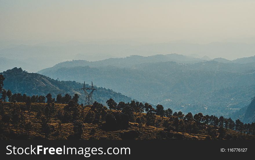 Trees on Mountain at Daytime Landscape Photography