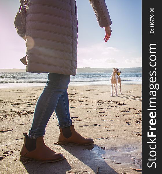 Person in Bubble Coat Walking on Beach Near Dog at Daytime