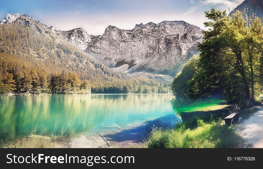 Landscape Photo of Calm Body Water Between Trees and Mountain