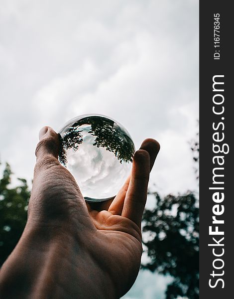 Photo of Person Holding Clear Glass Ball