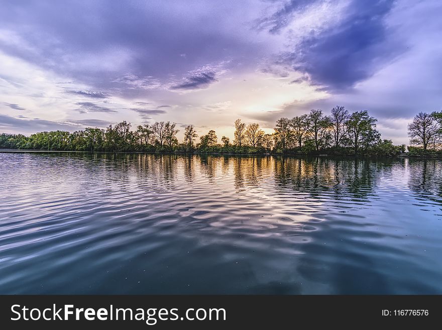 Green Trees Near Body of Water Under Cloudy Sky