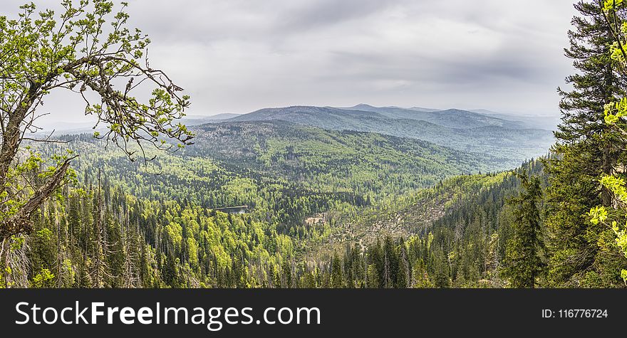 Photo of Green Trees and Mountains during Daylight