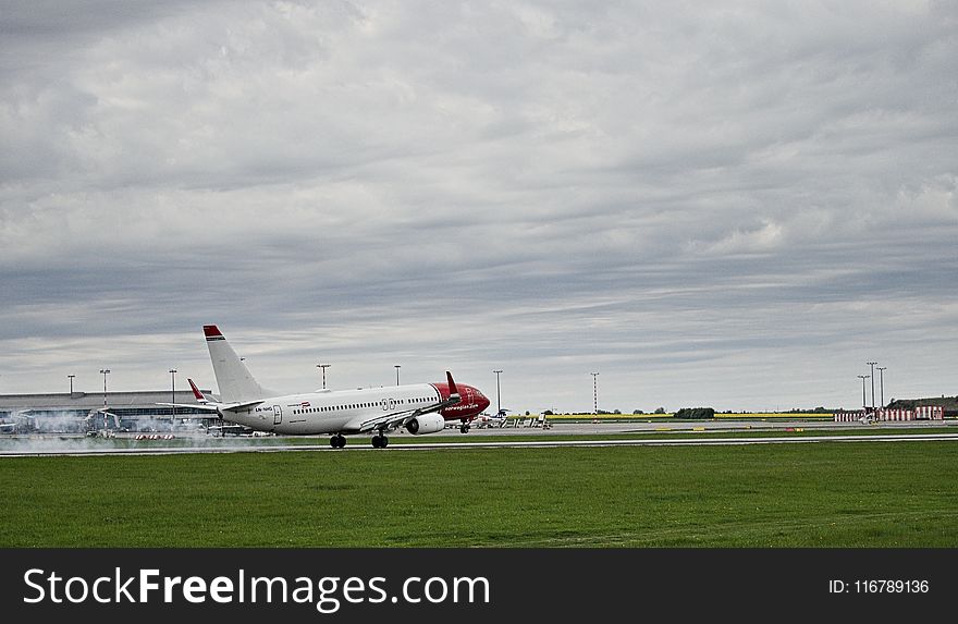 Airline, Airliner, Airplane, Sky