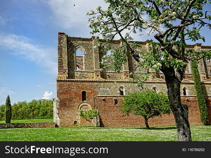 Property, Medieval Architecture, Wall, Estate