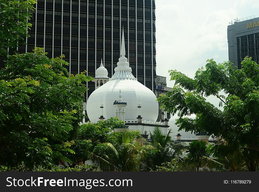 Landmark, Urban Area, Tree, Architecture