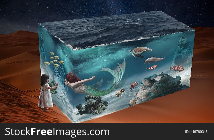 Marine Biology, Earth, Underwater, Computer Wallpaper