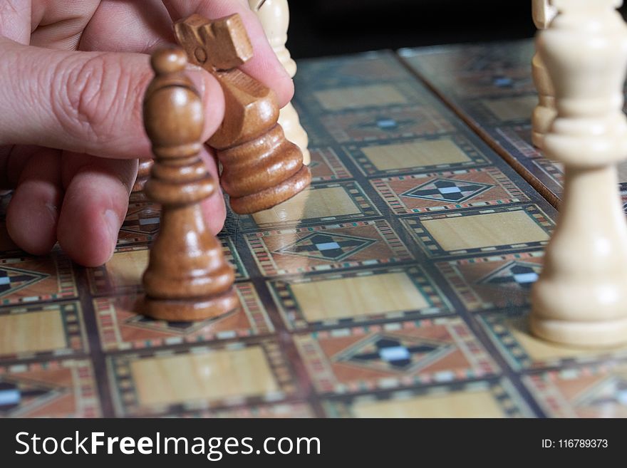 Indoor Games And Sports, Games, Chess, Board Game