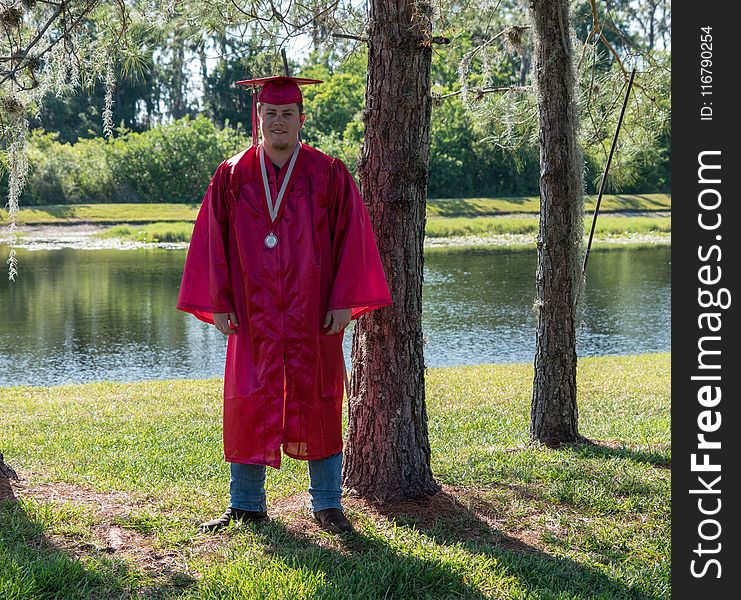 Academic Dress, Outerwear, Tree, Graduation