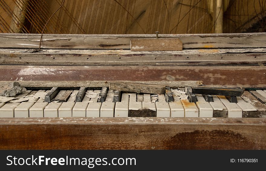 Piano, Keyboard, Musical Instrument, Wood