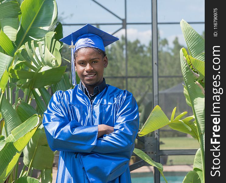 Blue, Plant, Tree, Graduation