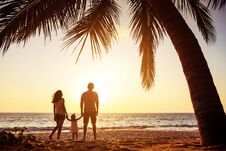 Tropical Falimy Vacations Concept Sea Sunset Palm Stock Images Tropical Falimy Vacations Concept Sea Sunset Palm Stock Images