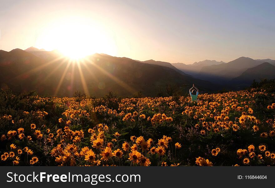 Person Surrounded By Flowers.