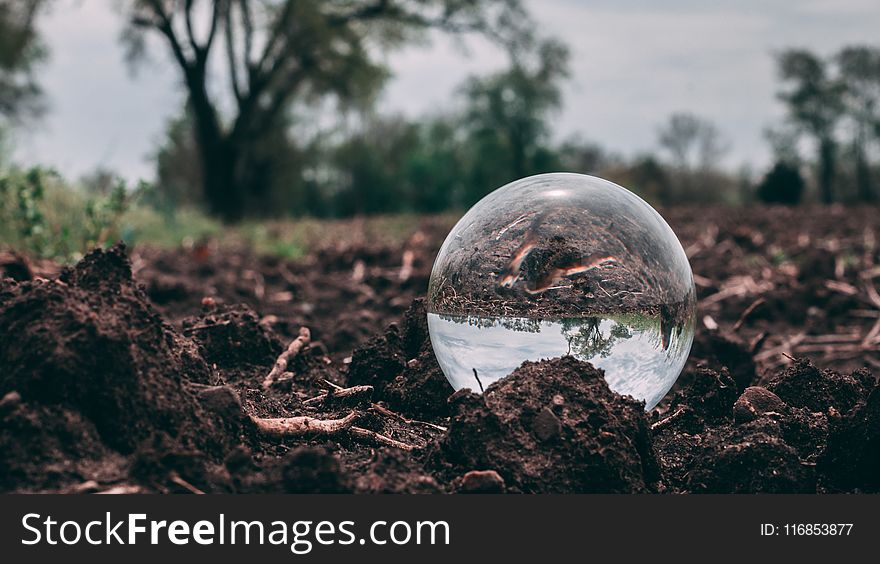 Closeup Photo of Clear Glass Ball on soil