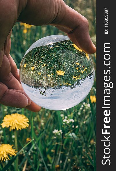 Person Holding Clear Glass Ball