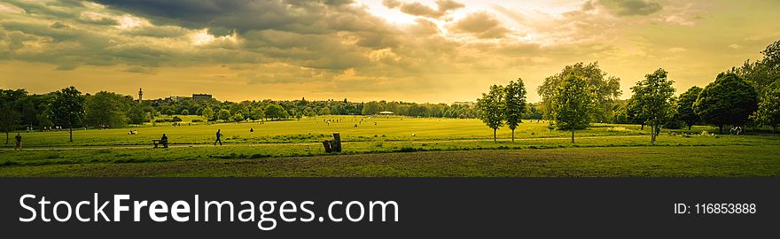 Green Grass Field During Sunset