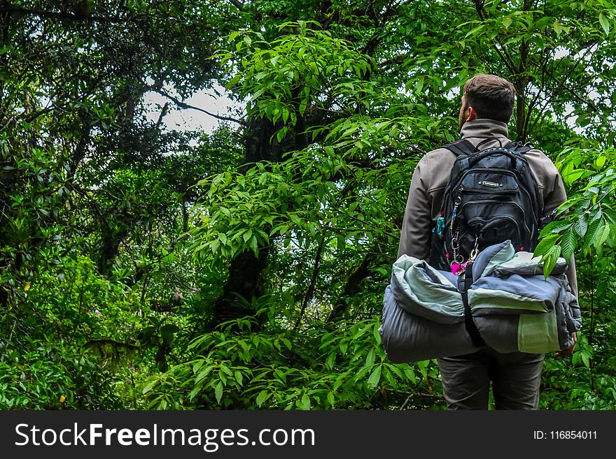 Man Carrying Camping Backpack Standing In-front Of Tree