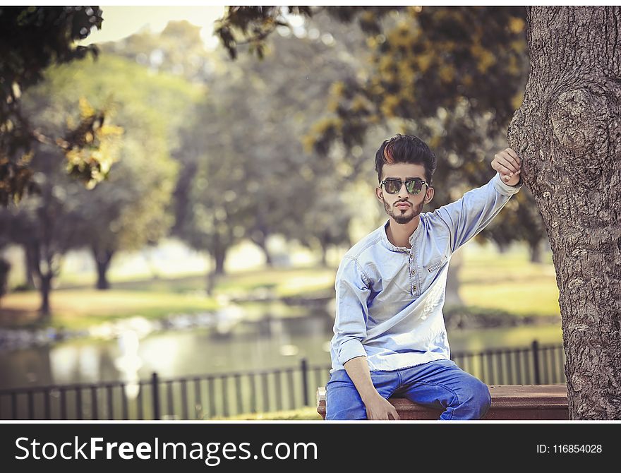 Man Sitting On Bench Beside Tree