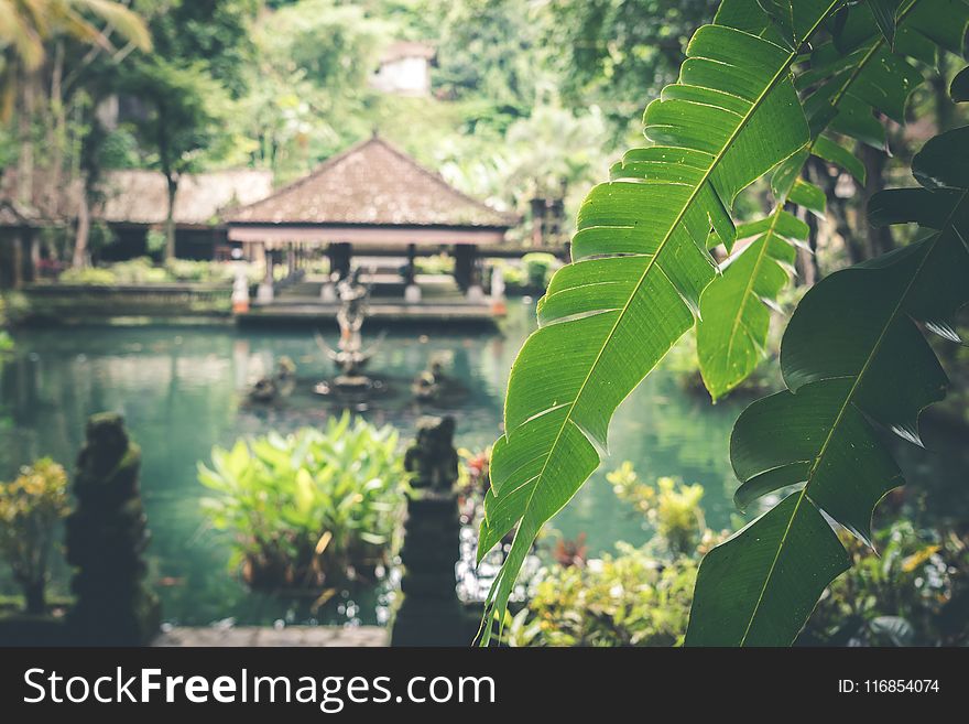 Brown Wooden Gazebo On Water