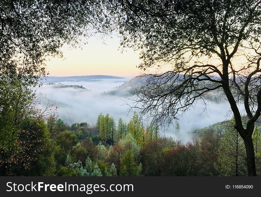 Photo of Mountain Covered With Mist