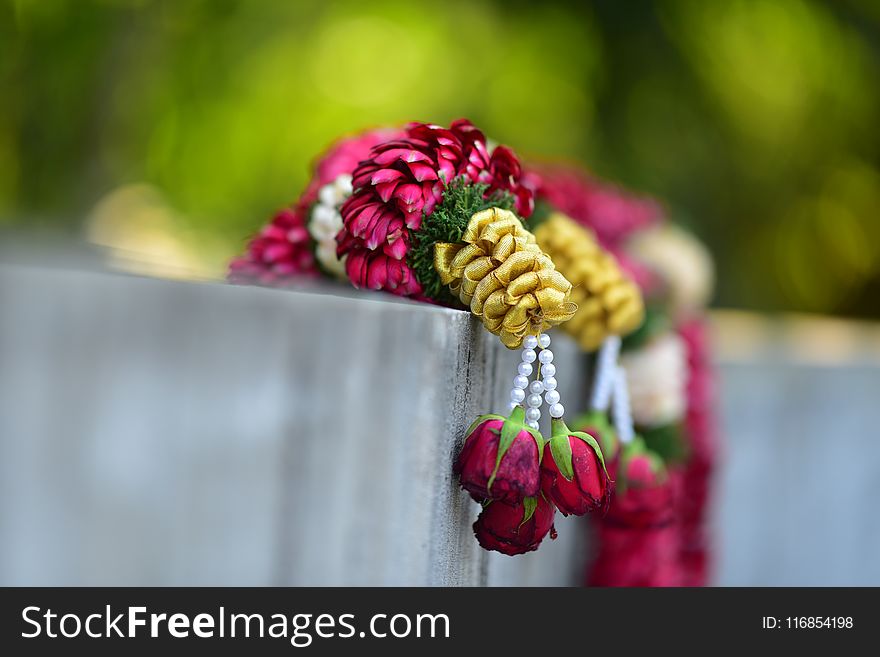 Selective Focus Photography Of Red Rose Flower Decor