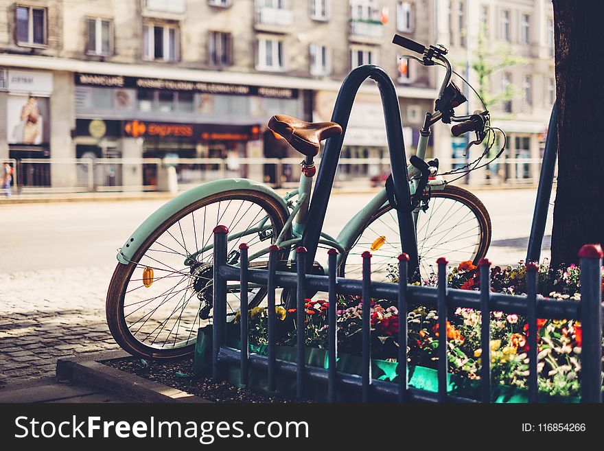 Photo of Teal Bicycle Locked on Black Metal Arch Near Tree