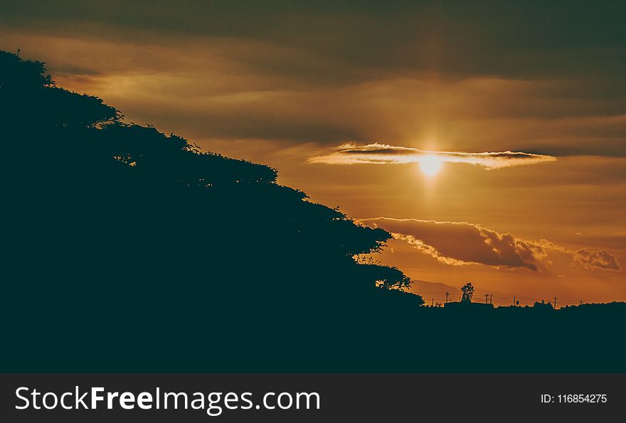 Silhouette Photography Of Forest During Golden Hour